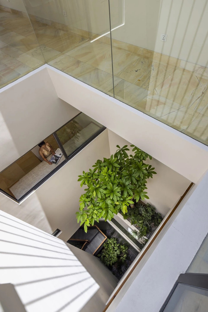 Giếng trời ở vị trí trung tâm vừa giúp lấy sáng, lấy gió đồng thời là khu vườn nhỏ đưa thiên nhiên vào từng góc nhà. Ảnh: Oki Hiroyuki