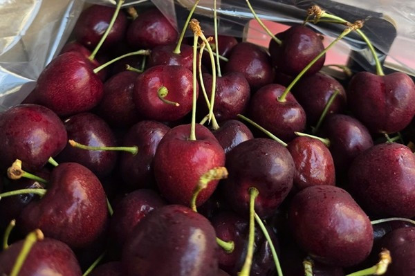 Từ đầu tháng 2 đến nay, nhiều tiểu thương đồng loạt chào bán cherry với giá dao động 110.000-200.000 đồng/kg, chủ yếu là hàng nhập khẩu từ Chile. Ảnh: Facebook