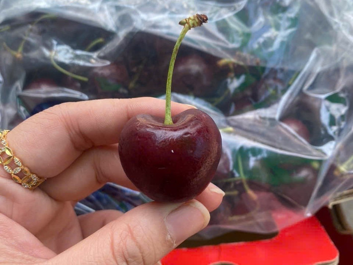 Tuy nhiên, cherry Chile giá “mềm” hơn, phù hợp với nhóm khách ưu tiên chi phí. Ảnh: Tony Tèo Fruit
