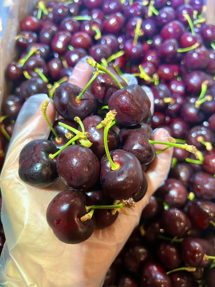 Theo các tiểu thương, cherry Chile giòn đanh, độ ngọt khoảng 8/10 nhưng hậu vị nhẹ hơn. Ảnh: Traicaynguyenthung
