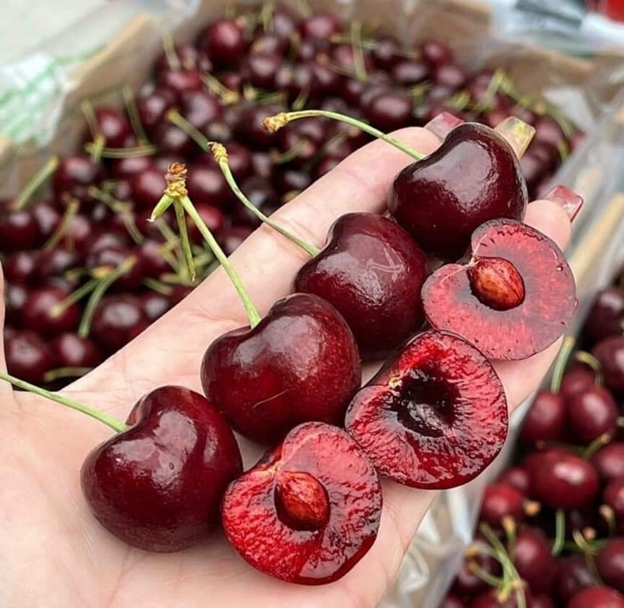 Nếu mua từ 5-10 thùng, giá cherry giảm còn 630.000 đồng/thùng và từ 20 thùng trở lên chỉ khoảng 600.000 đồng/thùng. Fuji Fruit