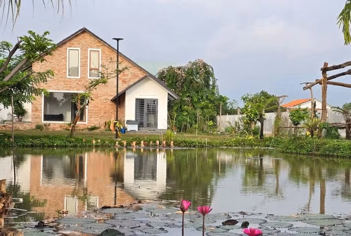 Ao sen, súng giữa lòng vườn giúp điều hòa không khí. Ảnh: FBNV