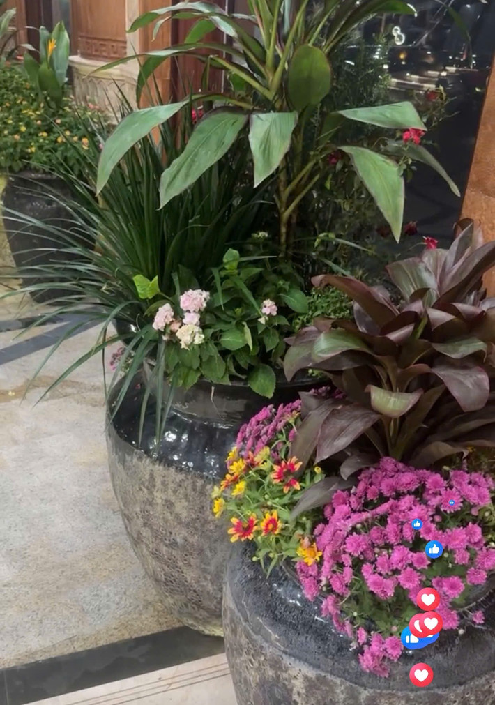 Hoa được trồng trong các chum, vại gợi nhớ đến khung cảnh làng quê mộc mạc. Ảnh chụp màn hình