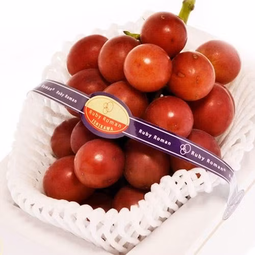 Nho Ruby Roman nổi tiếng với kích thước lớn, màu đỏ tươi, và vị ngọt đậm, ít chua. Ảnh: ACIT Group