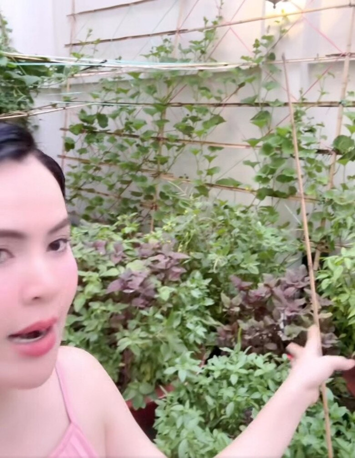 Hoa hậu Phương Lê tự hào vì rau nhà trồng ăn không xuể. Ảnh chụp màn hình