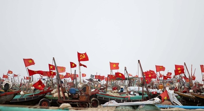 Theo nhiều ngư dân địa phương, cá trích thường bắt đầu từ khoảng tháng giêng đến tháng 5 âm lịch. Thời điểm này, đàn cá trích theo dòng nước di chuyển vào gần bờ, tạo điều kiện thuận lợi cho việc đánh bắt. Ảnh: Dân Việt