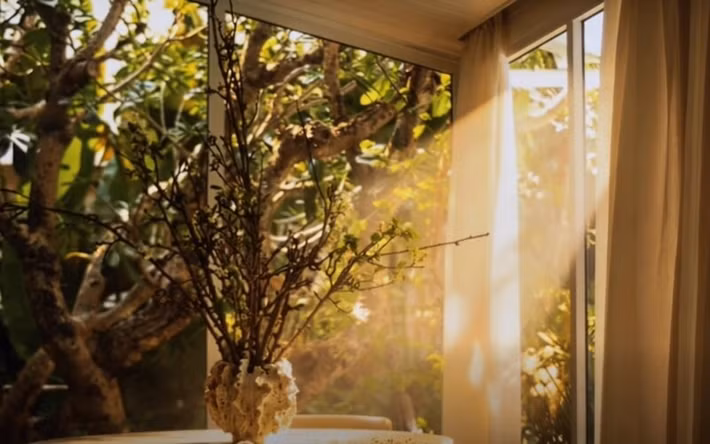 Những dải nắng xiên qua rèm lụa mỏng tạo nên một bầu không khí đậm chất điện ảnh. Ảnh: FB Do Manh Cuong