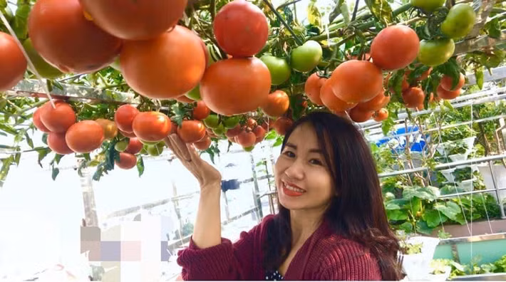 Chị Trịnh Hương (Hà Nội) khiến nhiều người trầm trồ khi sở hữu một khu vườn ngập tràn rau củ trên sân thượng. Ảnh: Infonet.