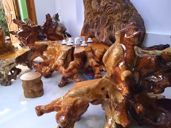 Điểm độc đáo của bộ bàn ghế gốc huỳnh đàn này là bộ rễ đã ngậm đá tự nhiên nằm dưới lòng đất chỉ còn lõi và một phần bộ rễ đã gần như hóa thạch. Ảnh: Vietnamnet.