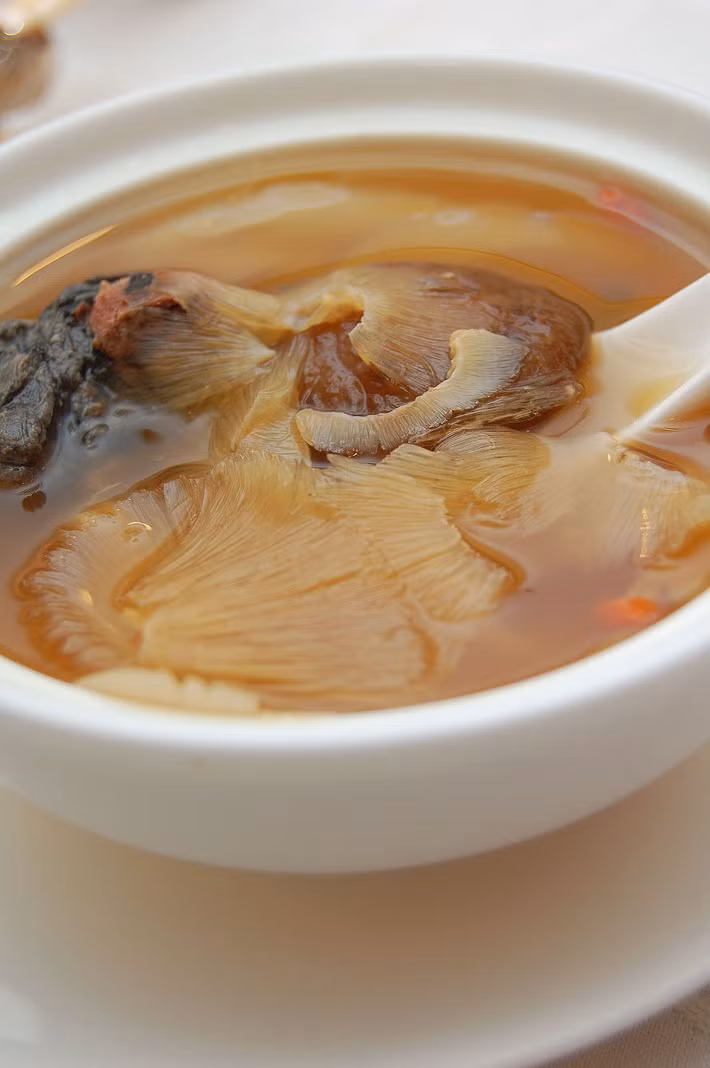 Tuy nhiên, các sản phẩm phổ biến nhất từ vi cá mập bao gồm cước vi cá mập loại đã qua sơ chế còn nguyên vây có giá 1,6 triệu đồng đồng/100g; Cước vi cá mập loại 2 có giá 1,1 triệu đồng/100g; Vi cá mập khô chưa làm sạch có giá 1 triệu đồng/100g....Ảnh: Wiki.