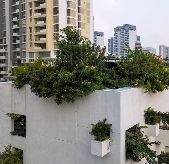 Những năm trở lại đây, bất động sản An Phú được xem là tiềm năng không kém cạnh khu nhà giàu Thảo Điền "đối diện". Ảnh: Facebook