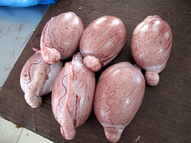 Tại một số nhà hàng, ngọc dương đê có giá từ 300.000-500.000 đồng/bộ. Đặc biệt, với loại dê núi đá ở Ninh Bình thì mức giá ngọc dương có thể lên tới 1 triệu đồng/bộ. Ảnh: Thucphamsach