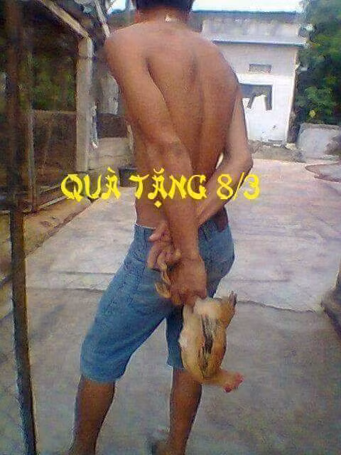 Cây tặng quà mùng 8/3 hữu hiệu và thiết thực nhất.