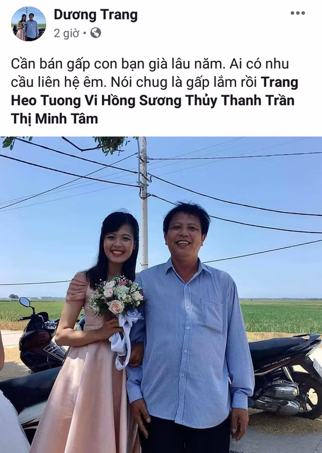Bức ảnh xinh đẹp của M.T được mọi người set làm avatar rồi cover Facebook với đủ loại caption, nhưng nhìn chung đều cùng nội dung: "Nhà có chị/em vẫn độc thân, cần tuyển anh rể/em rể gấp".
