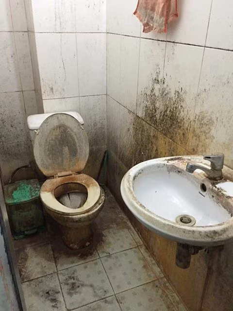 Chứng kiến những bức ảnh bạn cùng phòng ở bẩn trên, đa số CĐM đều tỏ ra bất ngờ vì không nghĩ rằng trên đời vẫn có người ở bẩn đến mức như vậy. Nhiều người còn bình luận vui rằng "hoa văn của cái gối này lạ vậy?".
