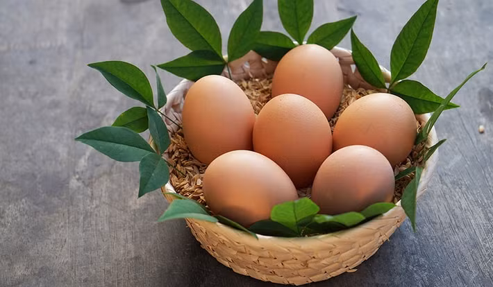 Thức ăn dành cho gà mẹ bao gồm hơn 60 loại thực phẩm dinh dưỡng và 25 loại thảo một khác. Ảnh: San-sui.