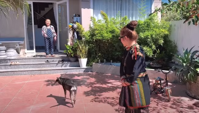 Sau khi lui về ở ẩn, Siu Black chọn quay về Tây Nguyên làm rẫy, nuôi heo.
