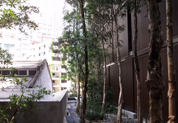 Bên ngoài tòa nhà là vườn cây mát mẻ.
