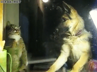 Đừng chạm vào tôi.