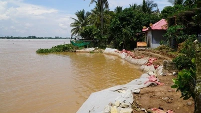 Đồng Tháp đầu tư kè 1,1 km ngăn sạt lở bờ sông Tiền