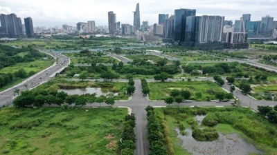 TPHCM: Đẩy nhanh đấu giá đất cuối năm, kỳ vọng thu ngân sách hơn 23.000 tỷ 