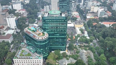 TP HCM rà soát toàn bộ đất bỏ trống để làm công viên, vườn hoa