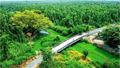 Cà Mau kêu gọi đầu tư du lịch sinh thái tại vùng lõi rừng U Minh Hạ