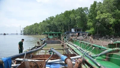 TP HCM: Siết chặt quản lý khai thác cát trái phép trên biển Cần Giờ