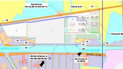 VNPD muốn đầu tư nhà máy điện sinh khối 8.000 tỷ tại Cần Thơ