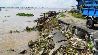 Đồng Tháp: Đầu tư 252 tỷ đồng xử lý sạt lở đê ven sông Tiền 