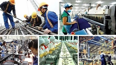 Doanh nghiệp rút lui tăng, nhưng thành lập mới vẫn khởi sắc