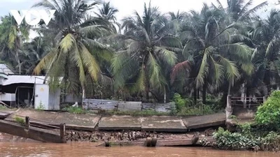 Vĩnh Long: Đầu tư 500 tỷ đồng gia cố bờ sông Hàm Luông