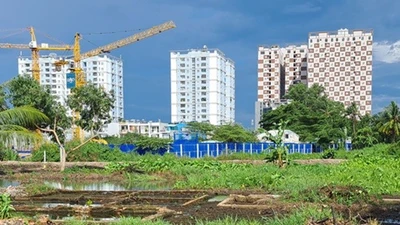 Tây Ninh đẩy mạnh phát triển nhà ở xã hội, chuẩn bị nguồn cung cho năm 2026