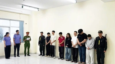 Vạch trần đường dây thuốc lá điện tử ngụy trang hộ kinh doanh tại TP HCM