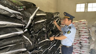 Phạt hơn 150 triệu đồng doanh nghiệp bán phân bón sai quy định tại Gia Lai