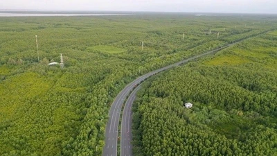 TP HCM đề xuất đo đạc, kiểm đếm đất trước khi ra thông báo thu hồi