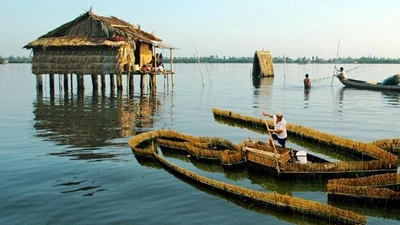 Cà Mau phê duyệt quy hoạch Đầm Thị Tường, thúc đẩy du lịch sinh thái 