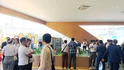 TP HCM: Cảnh báo tình trạng mua bán đất dự án “chui”