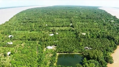 Cần Thơ: Quy hoạch Cù Lao Dung thành đô thị sinh thái – du lịch trọng điểm