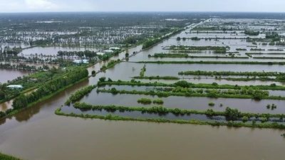 Cà Mau: Đầu tư xây 7 cống ngăn mặn, chống ngập vùng sản xuất nông nghiệp