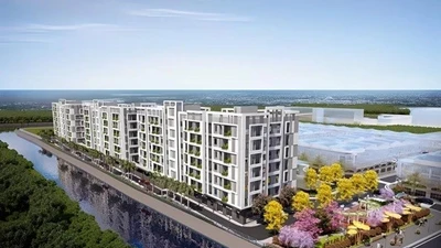 Vĩnh Long kêu gọi đầu tư nhà ở xã hội với 3 dự án quy mô 31.620 m²