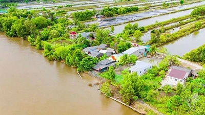 Cà Mau: Đầu tư 480 tỷ đồng gia cố bờ sông Gành Hào