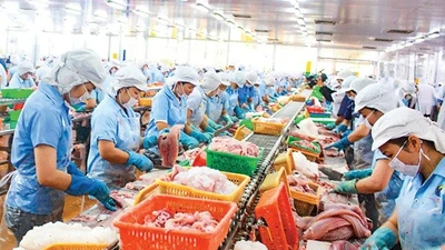 Doanh nghiệp trong các KCN Cần Thơ nộp ngân sách gần 4.000 tỷ đồng 