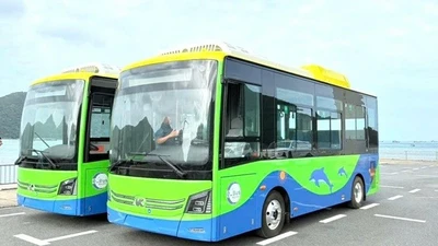 Côn Đảo vận hành tuyến buýt điện đầu tiên từ 25/12