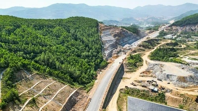 Gia Lai chuyển đổi gần 9ha rừng làm dự án Trạm dừng nghỉ cao tốc Bắc – Nam
