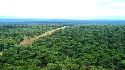 Gia Lai tái khởi động dự án sân golf Đak Đoa hơn 1.150 tỷ đồng