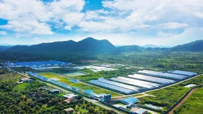 De Heus – Hùng Nhơn nâng quy mô dự án nông nghiệp công nghệ cao tại Gia Lai