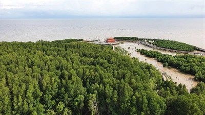 Tăng cường quản lý và bảo vệ môi trường Khu Dự trữ sinh quyển Mũi Cà Mau