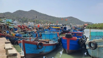 TP HCM siết chặt quản lý tàu cá, quyết liệt chống khai thác IUU