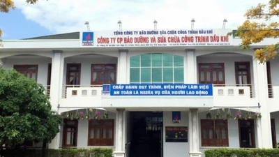 Công ty PMS bị xử phạt nặng vì vi phạm quy định bảo vệ môi trường